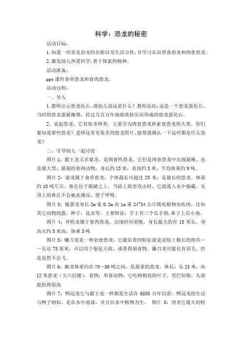 幼儿园：科学恐龙的秘密