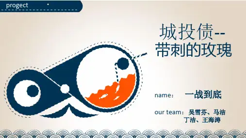 金融案例分析(城投债)