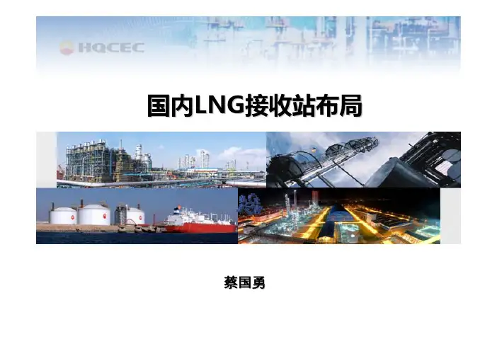 中国lng接收站布局蔡国勇)