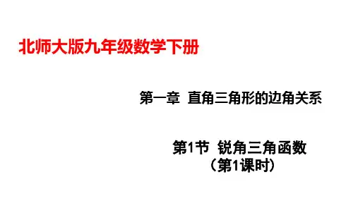 北师大版初三数学9年级下册 第1章 1.1.1 锐角三角函数(第1课时)  课件(共24张PPT)