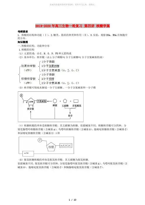 2019-2020年高三生物一轮复习 第四讲 核酸学案