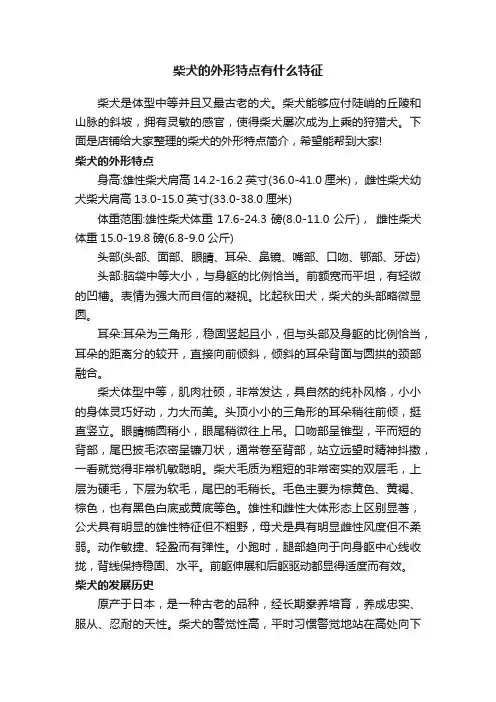 柴犬的外形特点有什么特征