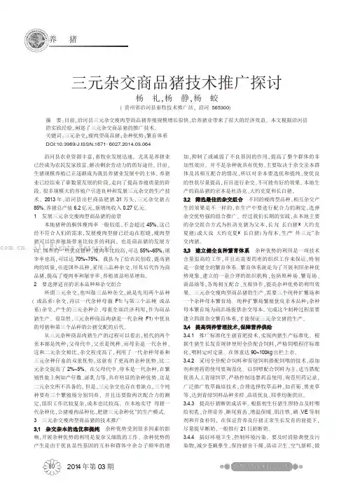 三元杂交商品猪技术推广探讨