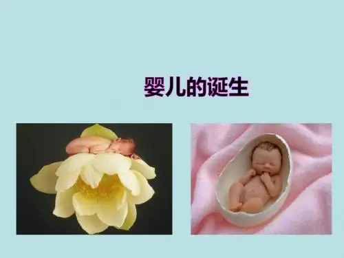 八年级生物上册 第三章 第一节《婴儿的诞生》课件 (新版)济南版