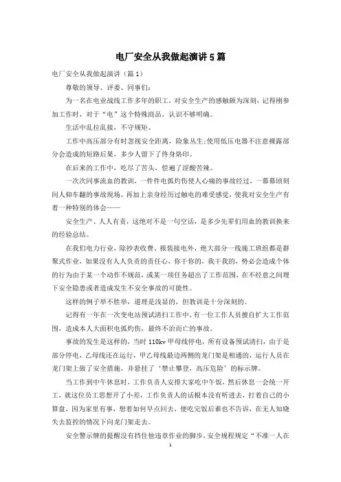 电厂安全从我做起演讲5篇
