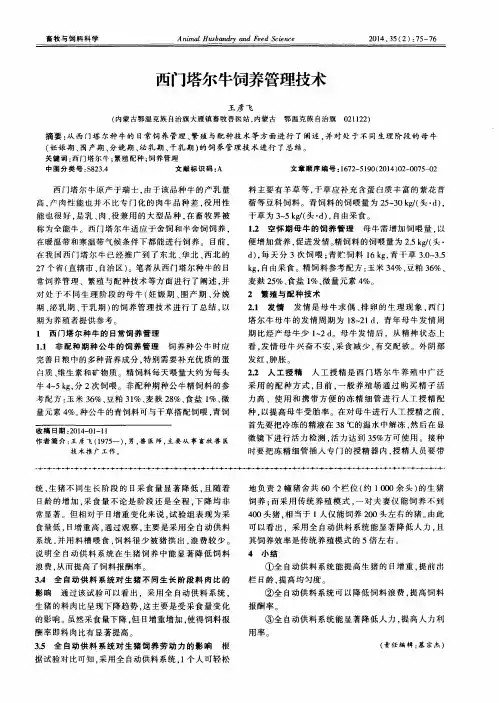 西门塔尔牛饲养管理技术