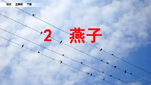 2《燕子》  课件(共31张PPT)