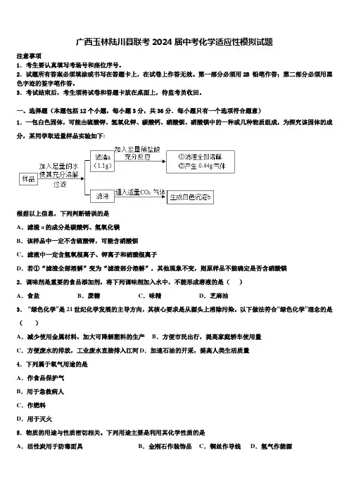 广西玉林陆川县联考2024届中考化学适应性模拟试题含解析