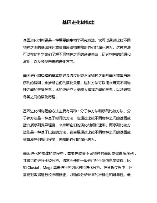 基因进化树构建