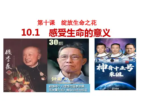 感受生命的意义 统编版道德与法治七年级上册 (2)