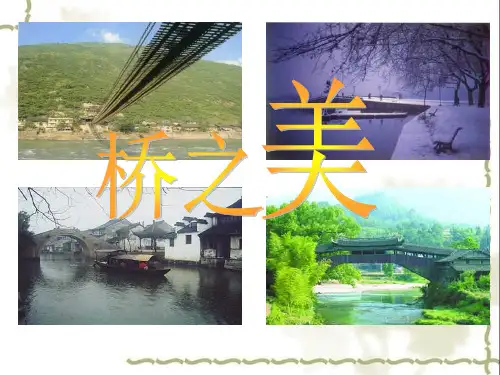 桥之美PPT课件