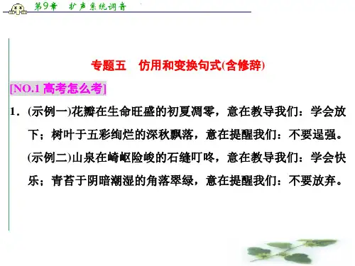 高三语文一轮总复习课件 专题五 仿用和变换句式(含修辞)