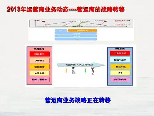移动集团专线市场发展建议书课件PPT