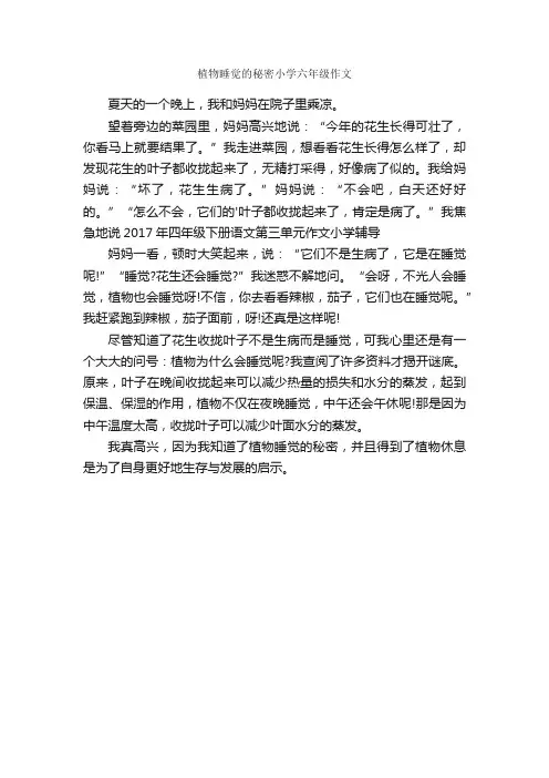 植物睡觉的秘密小学六年级作文