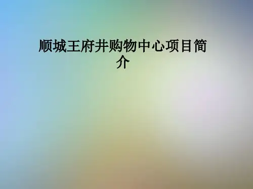 顺城王府井购物中心项目简介