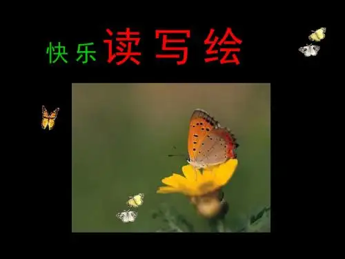 数学绘本《乱七八糟的魔女之城》 