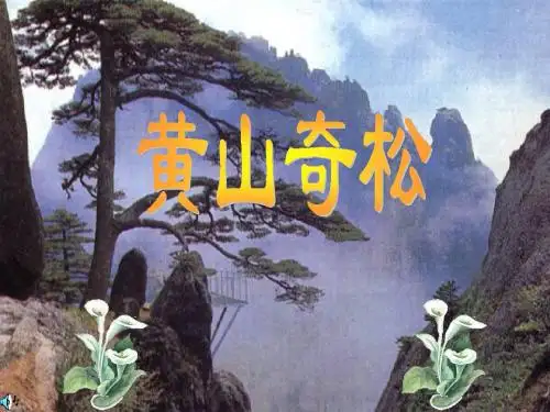黄山奇松ppt