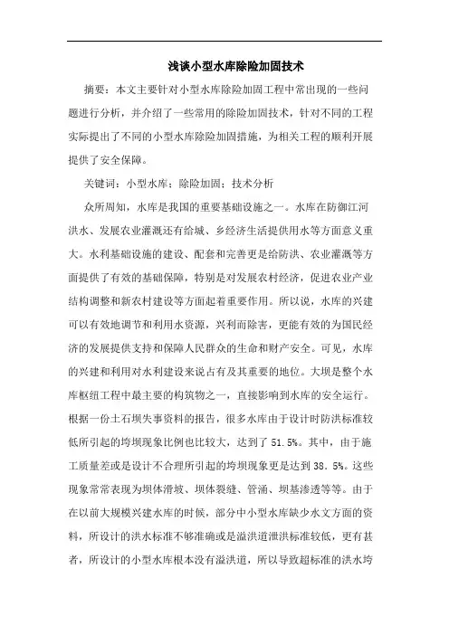 小型水库除险加固技术