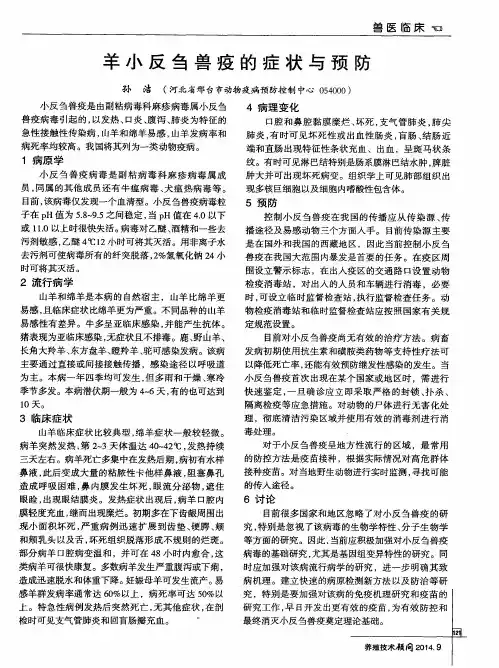 羊小反刍兽疫的症状与预防