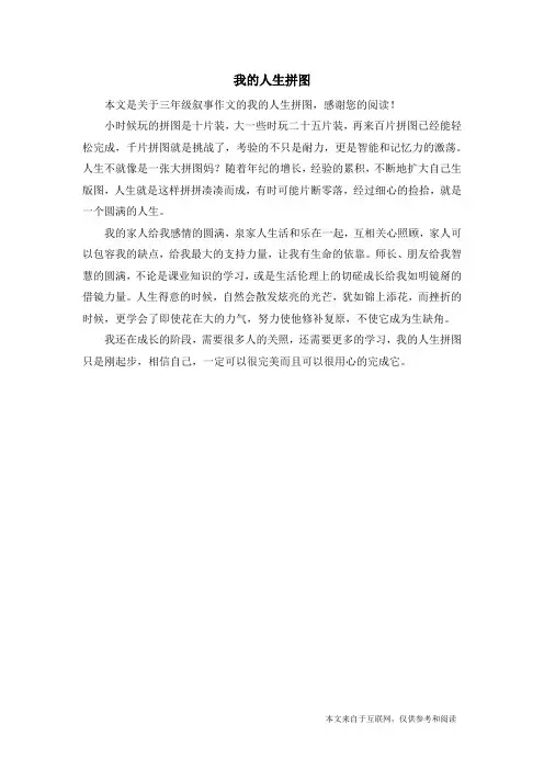 我的人生拼图_三年级叙事作文