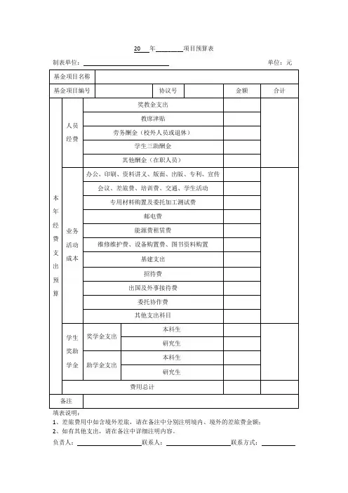 20年_项目预算表