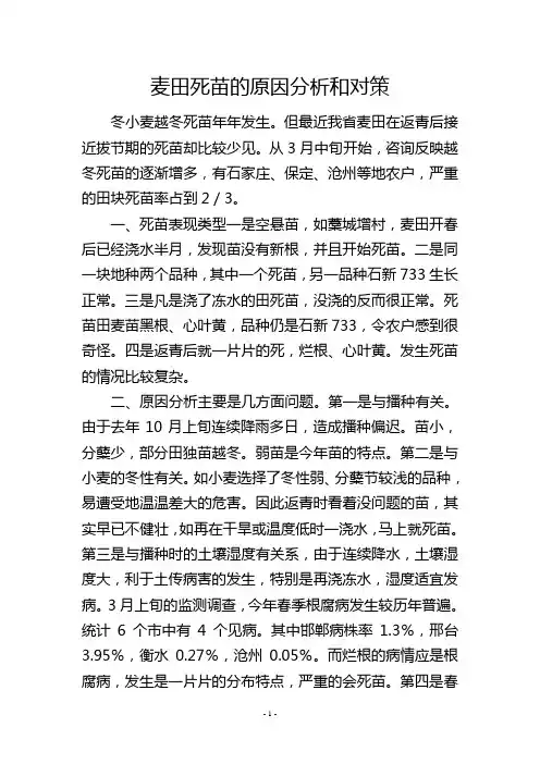麦田死苗的原因分析和对策