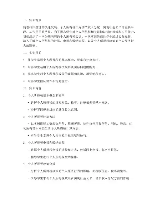 个人所得税_实训报告