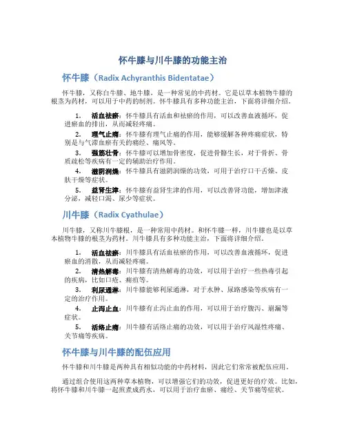 怀牛膝与川牛膝的功能主治