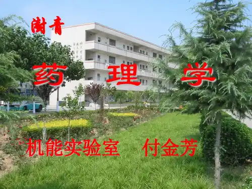 量效关系1精品PPT课件