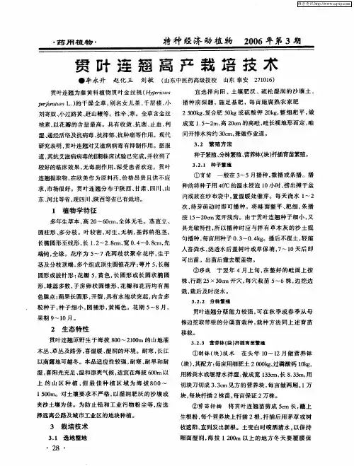 贯叶连翘高产栽培技术