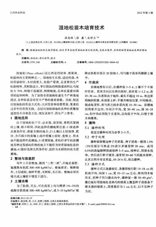湿地松苗木培育技术