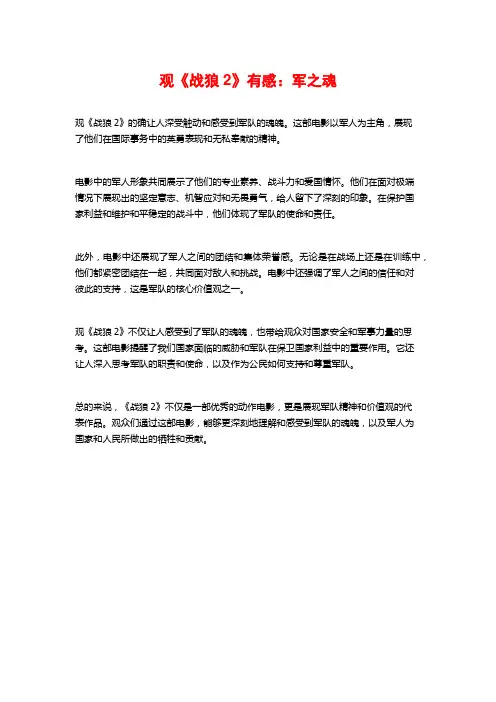 观《战狼2》有感：军之魂