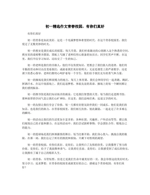初一精选作文青春校园,有你们真好