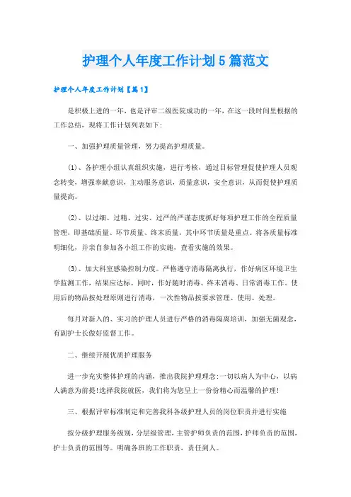 护理个人年度工作计划5篇范文