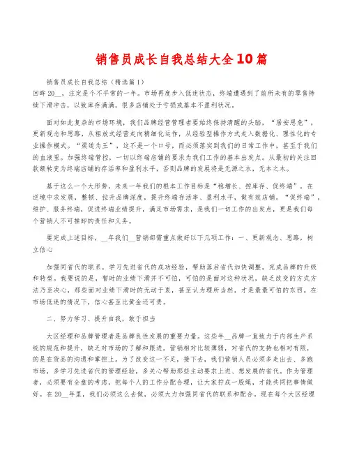 销售员成长自我总结大全10篇