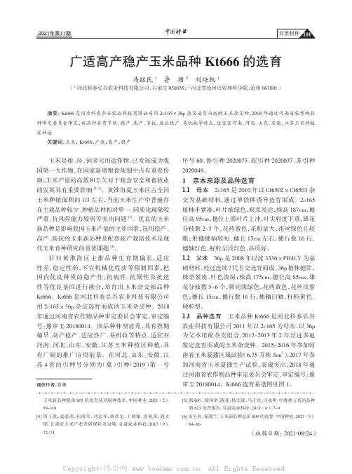 广适高产稳产玉米品种Kt666的选育