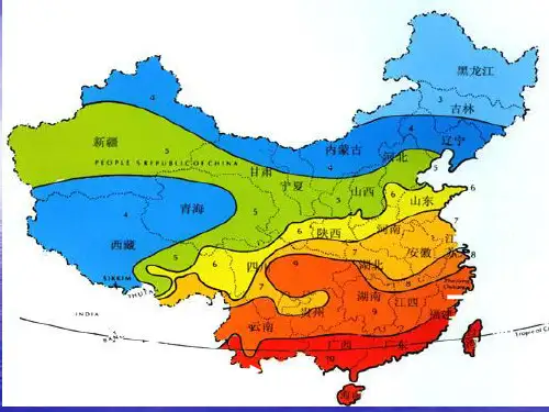 果树分类2