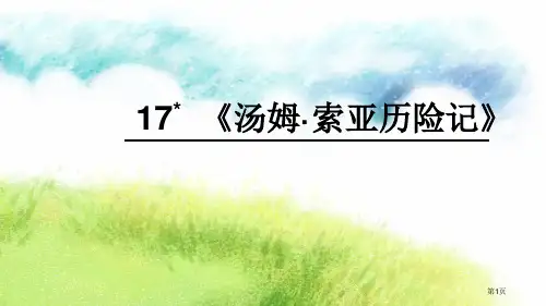17-汤姆·索亚历险记市公开课金奖市赛课一等奖课件