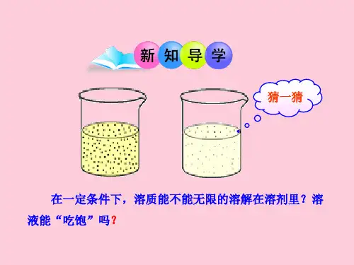 人教版初中化学九下9.2 溶解度 第一课时课件_2精选课件