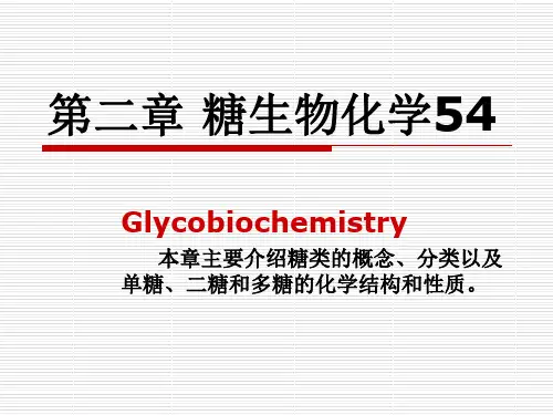2第二章糖类生物化学1