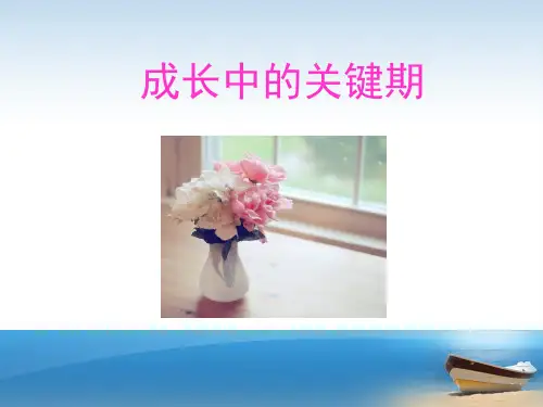 成长的关键期