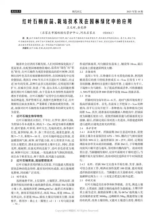 红叶石楠育苗、栽培技术及在园林绿化中的应用