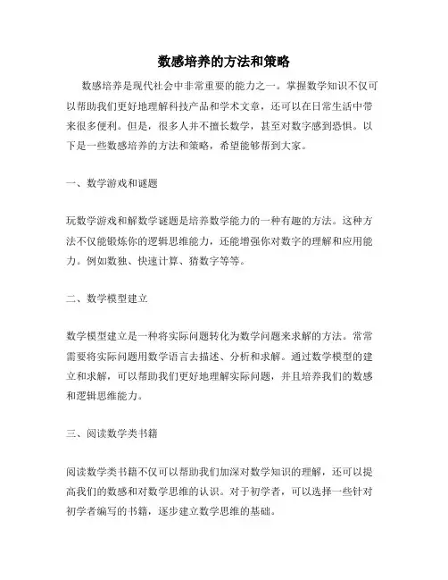 数感培养的方法和策略