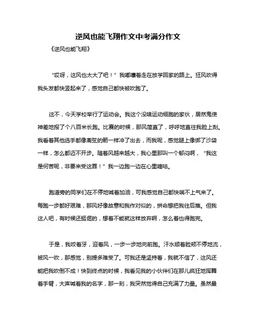 逆风也能飞翔作文中考满分作文