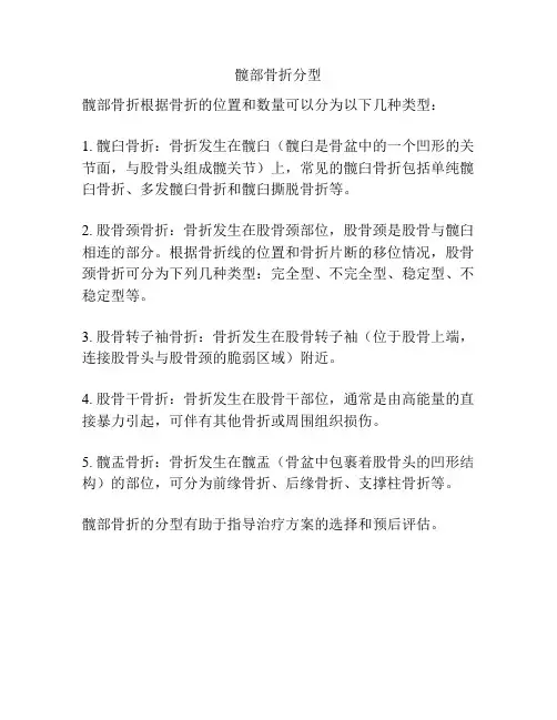 髋部骨折分型