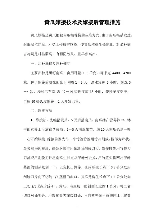 黄瓜嫁接技术及嫁接后管理措施