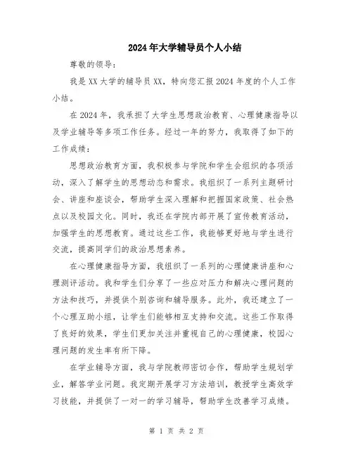 2024年大学辅导员个人小结