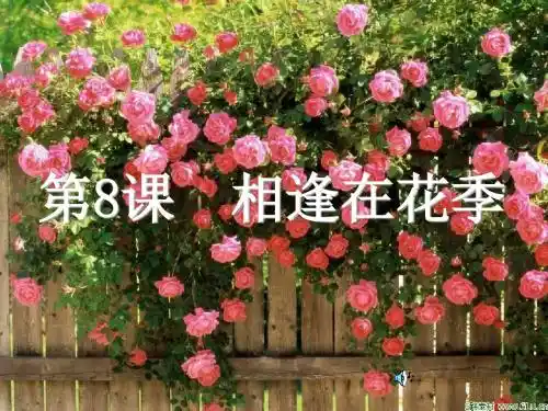 【初中政治】相逢在花季ppt优秀课件2