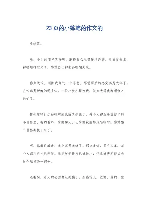 23页的小练笔的作文的