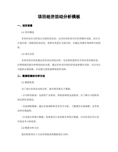 项目经济活动分析模板